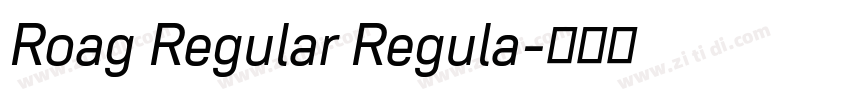 Roag Regular Regula字体转换